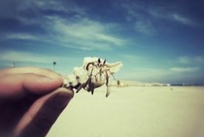 牛皮癣不治疗的危害